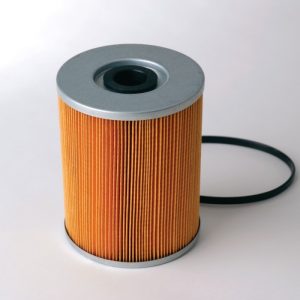 P550028