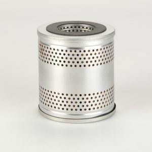 P556004