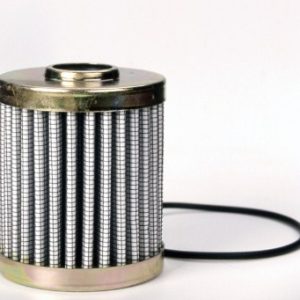 P567005