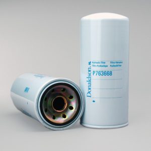 P763668