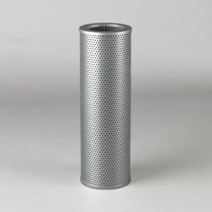 R010081